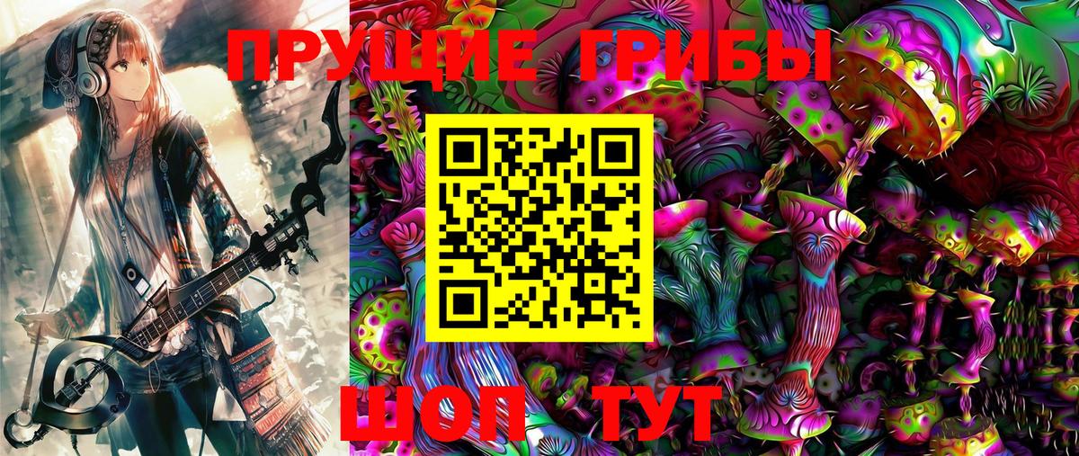 Чистополь  Псилоцибиновые грибы Psilocybe  Псилоцибиновые грибы MAGIC MUSHROOMS  Вход с VPN 